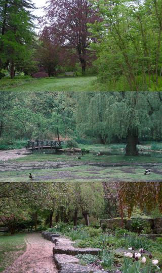 トロントの雨の日におすすめの森の中の美術館