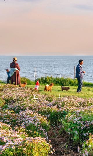 昆明自駕治癒之旅寶豐濕地+峰邦酒店神仙組合