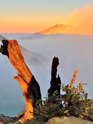 7-day Indonesia trip nanny-level guide to copy directly