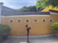 洛迦山香道全攻略