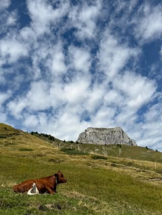 小長期休暇のスイス11日間旅行ガイド、保存必須！