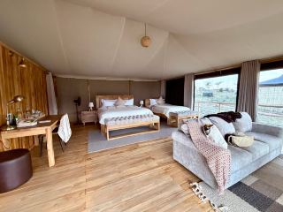 An Unforgettable 12-Day Tanzanian Safari Adventure