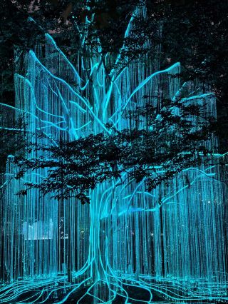 Shanghai Light Festival, a forest dreamscape hidden in the city center