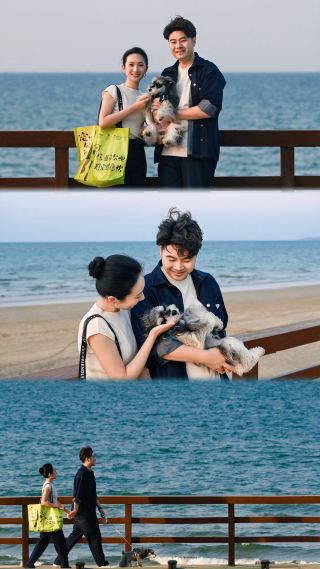 烟台에서 반려동물과 함께하는 최고의 휴가｜반려동물과 함께 바다를 만끽하세요.