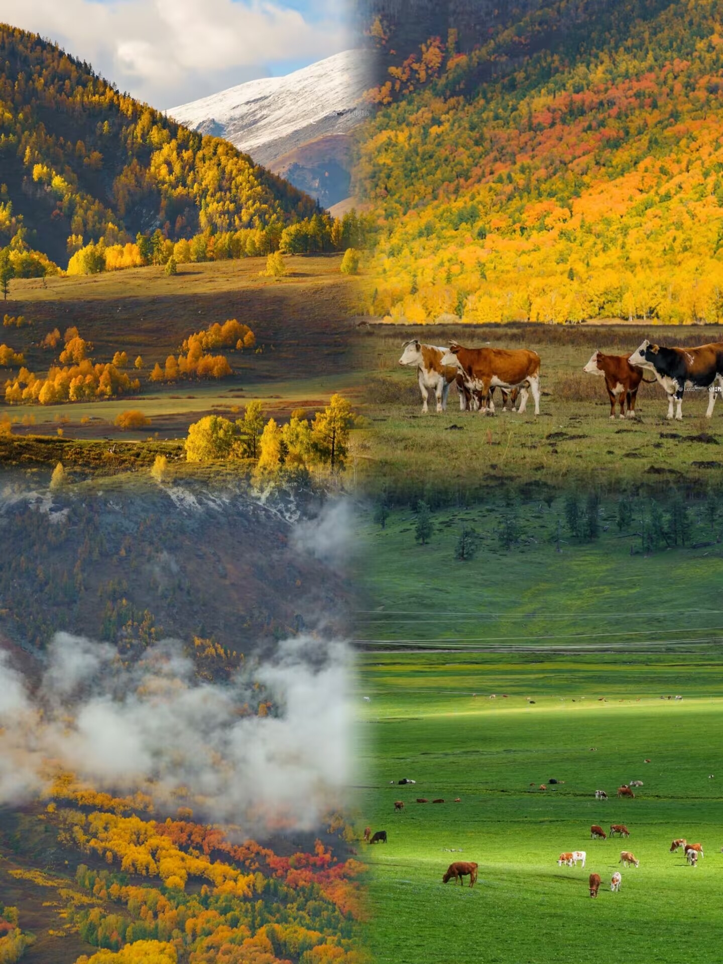 Altay has been a rip-off for the three days I've been back, and I must share these hard-learned lessons!