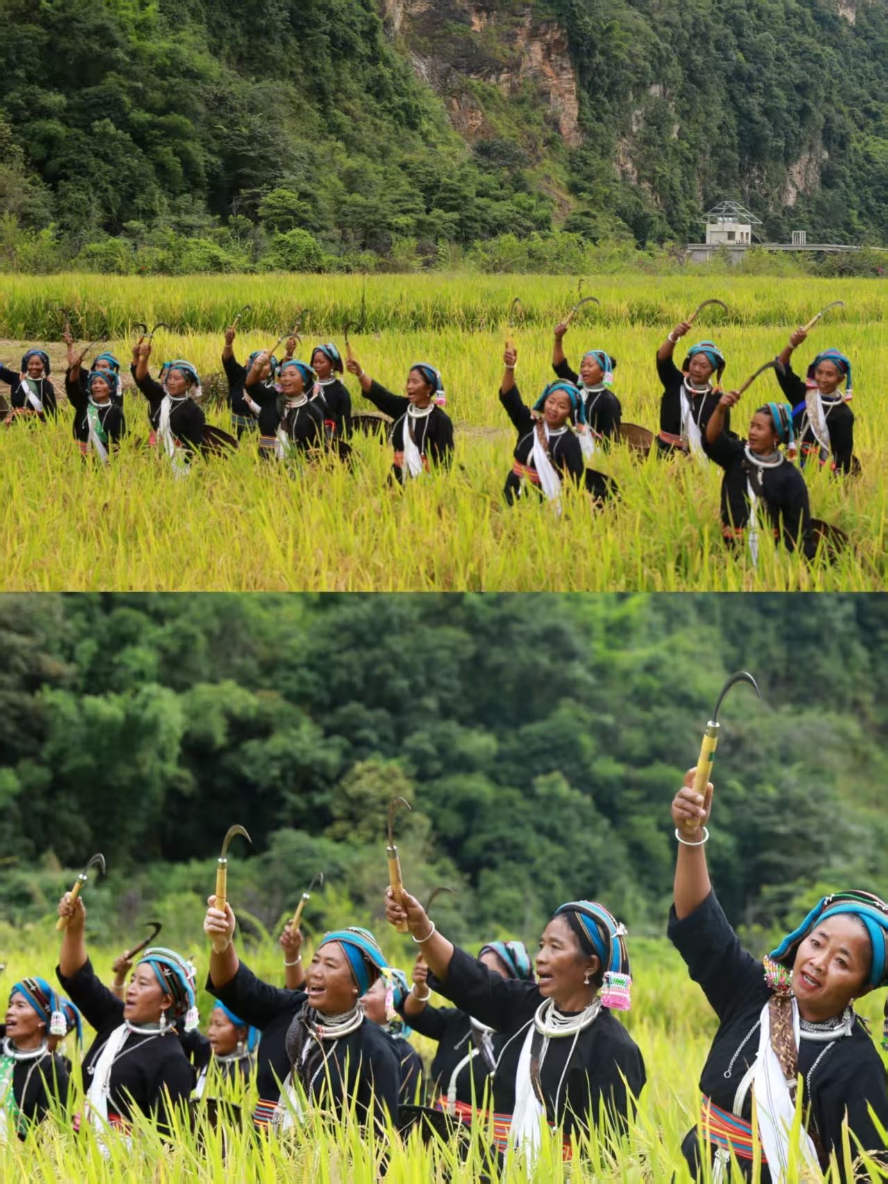 Lincang, Yunnan... an underrated, niche travel destination!