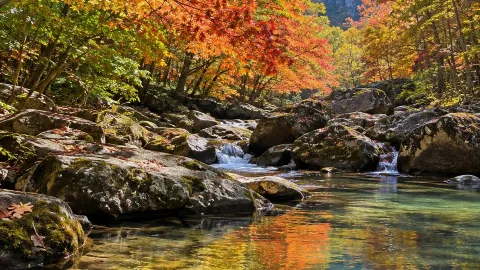 라오비안구 계곡 촬영 루트 — traveler post in 번시