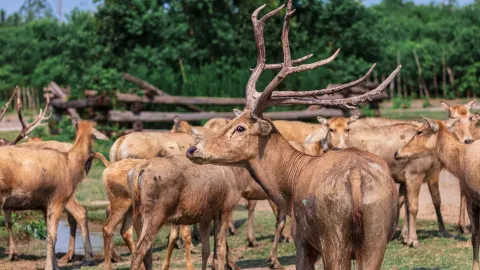 ความงามของฤดูใบไม้ร่วงที่เจียงซู | ทริปตามล่าหาใบไม้แดงช่วงวันชาติจีน — traveler post in อู๋ซี