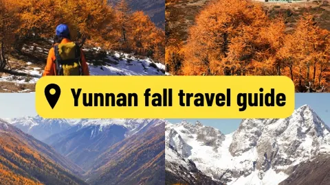 Avoid the crowds! Baima Snow Mountain in Yunnan is breathtakingly beautiful in autumn... — traveler post in Deqin