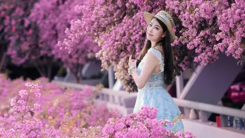 Captured on Oct 4: Sea of bougainvillea at the Shenzhen Fairy Lake Botanical Garden parking lot — traveler post in Shenzhen