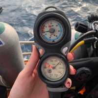 ดำน้ำเกาะเต่า 🤿  #scuba