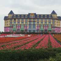 番禺百萬葵園😌內地親子遊🫶🏻短線必去度假酒店🏨