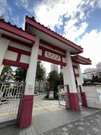 閒逛鳳德公園，巧遇小小繡球花圃 