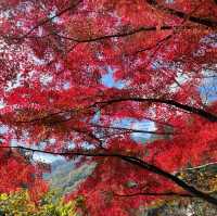 【山梨】昇仙峡で紅葉狩り♪