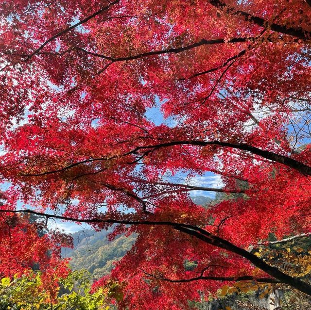 【山梨】昇仙峡で紅葉狩り♪