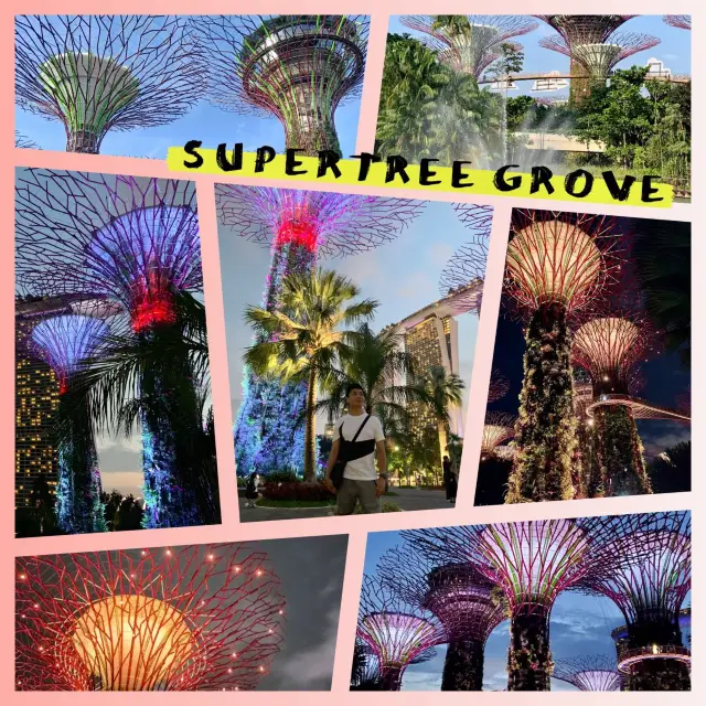 Supertree Grove~彷似走進阿凡達世界