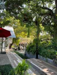 คาเฟ่บ้านเหลืองสไตล์ยุโรป มาเชียงใหม่ต้องแวะ