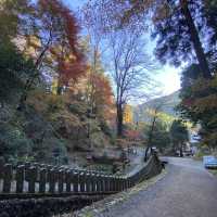 充滿詩意的寺院 - 鞍馬寺