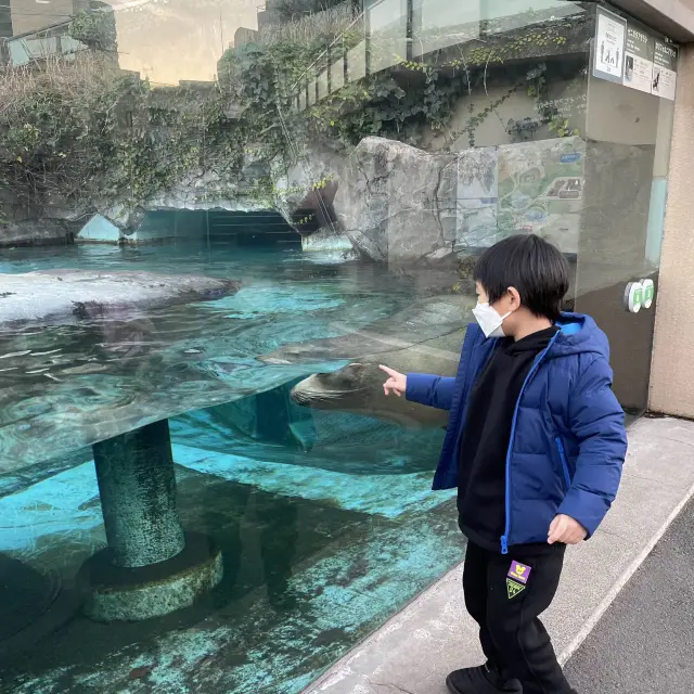 東京親子行程推介🎉上野動物園