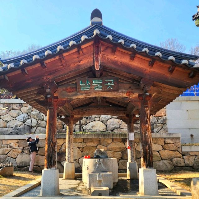 진달래,매화,산수유🌺🌼🌸 다있는 서울속 사찰 "봉은사"