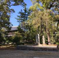 見どころだらけの広大なお寺【聖福寺】