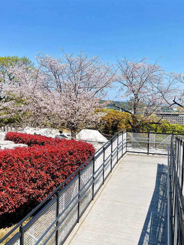 絕對要去❤️🇯🇵熊本城