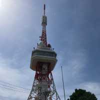 四季様々な顔を見せる　宇都宮　八幡山公園