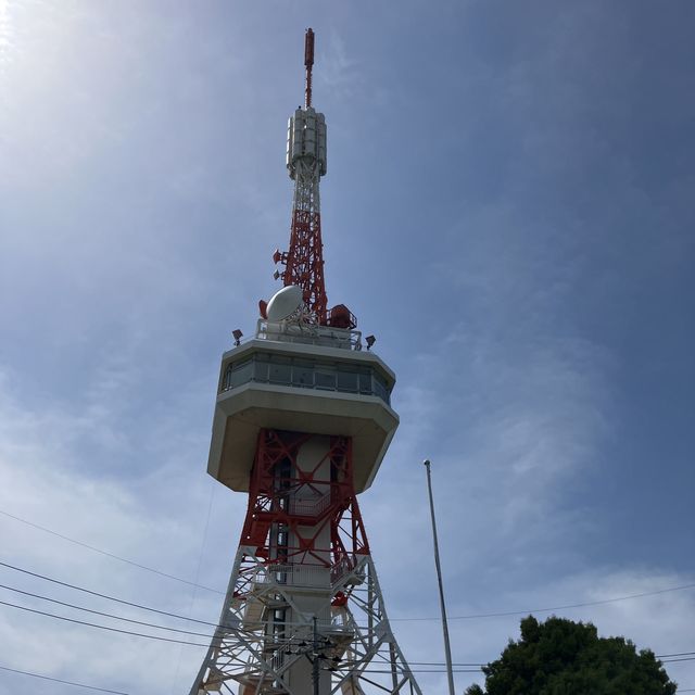 四季様々な顔を見せる　宇都宮　八幡山公園