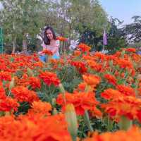 เที่ยวในกรุงเทพ สวนหลวง ร.9