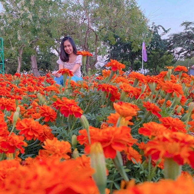 เที่ยวในกรุงเทพ สวนหลวง ร.9