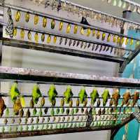 Entopia - Penang Island, Malaysia