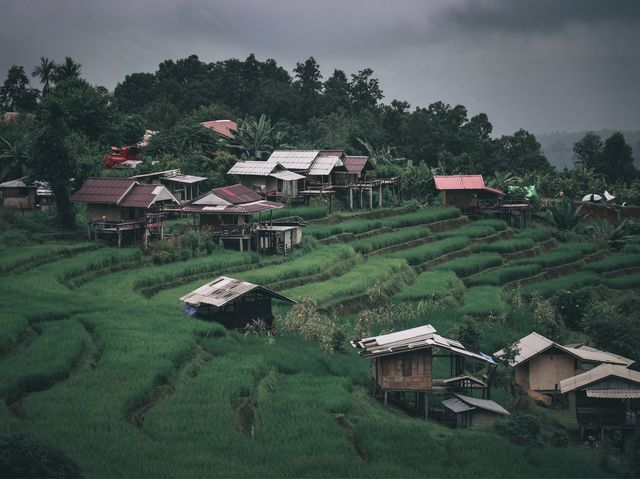 ป่าบงเปียง นาขั้นบันไดที่สวยที่สุดในไทย 