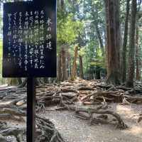 大阪京都天狗的故鄉 鞍馬山