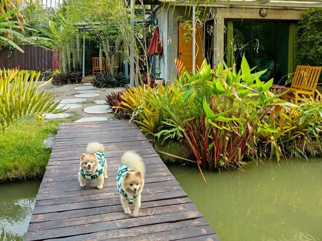 ที่พักอัมพวา น้องหมาพักได้ ตอนเช้ามีใส่บาตรริมน้ำ