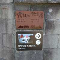 愛知旅行！常滑「やきもの散歩道」