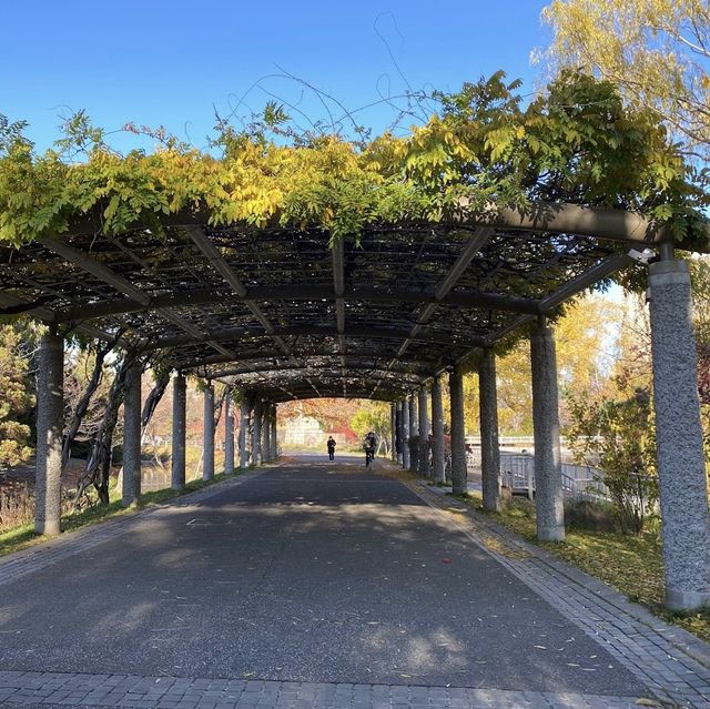 《北海道》四季を楽しめる公園🐥
