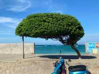 Phu Quy Island, a hidden gem in Vietnam