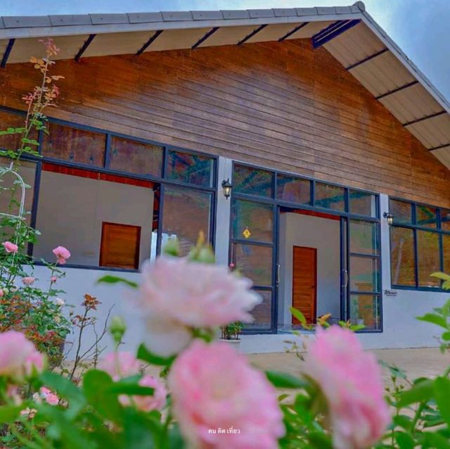 ที่พักเปิดใหม่ดอยสกาด บ้านกุหลาบ