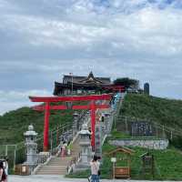 來到蕪嶋神社見黑尾鷗！