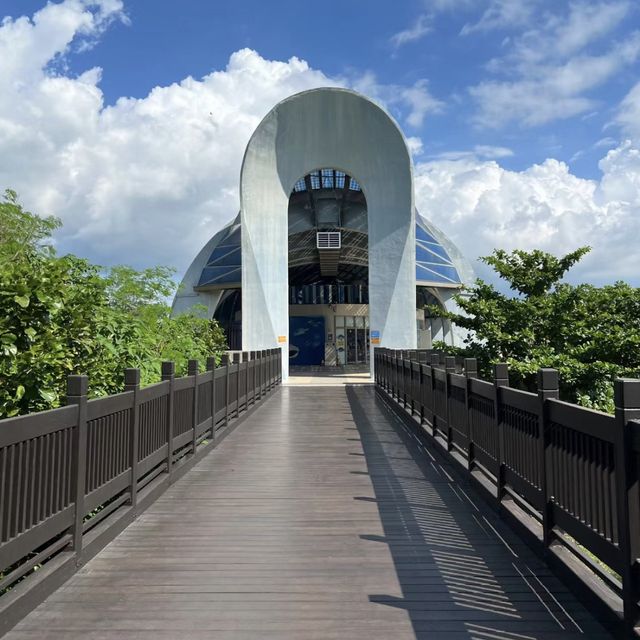 海洋奇蹟解密！屏東國立海洋生物博物館🌊🔬🐚