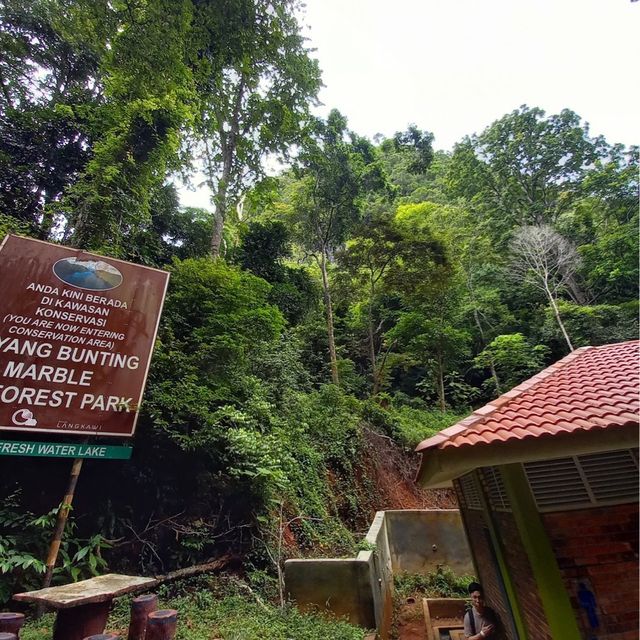 Dayang Lake 
