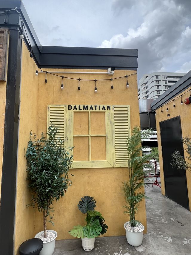 Dalmatian @siam square
