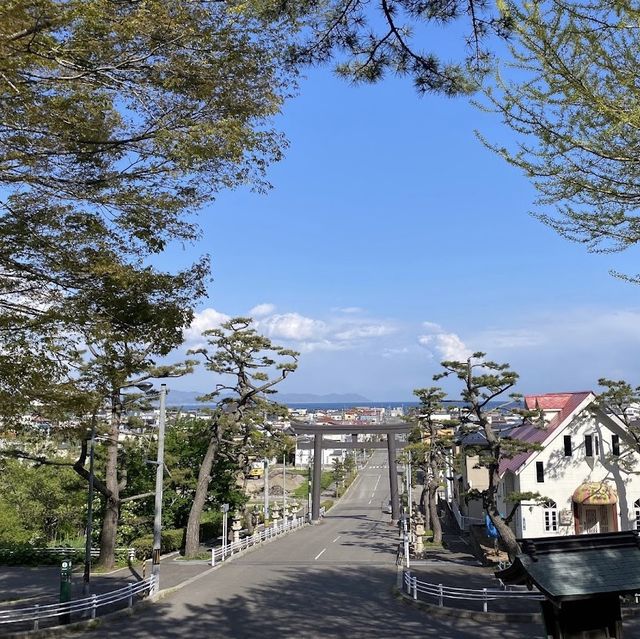 神秘古社：函館八幡宮！⛩️🌸🙏