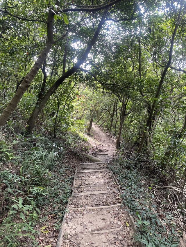 台北市｜內湖區｜金面山步道