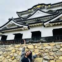 the beauty of himeji castle 🏰 