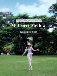 Mulberry Mellow  กาญจนบุรี