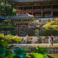 Enjoy a tranquil walk in Changdeokgung Palace