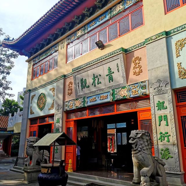 🌲👀 青松觀～綠意滿滿的寶藏！🌲👀🌳