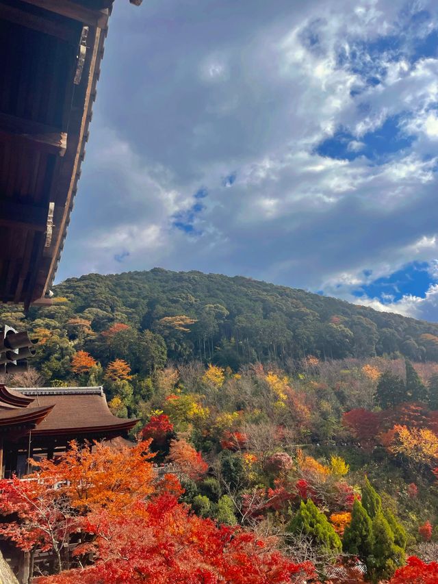 교토 가볼만 한 곳 1순위, 기요미즈데라 (청수사)🍁