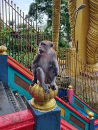 Batu Caves Selangor ⛰️✨